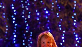 Linen Green Christmas lights