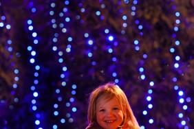 Linen Green Christmas lights