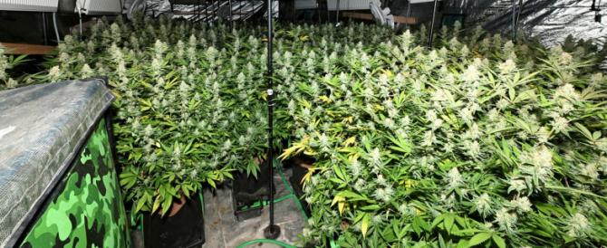 DRUGS SUPPLY CHAIN IS HALTED IN AUGHNACLOY