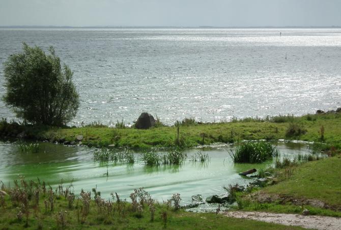 Department hosting Ballyronan meeting to address issues over water quality