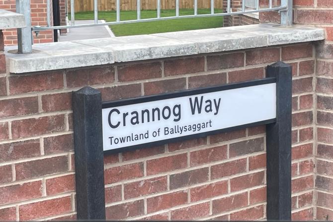 Dungannon residents 'neglected' by housing association