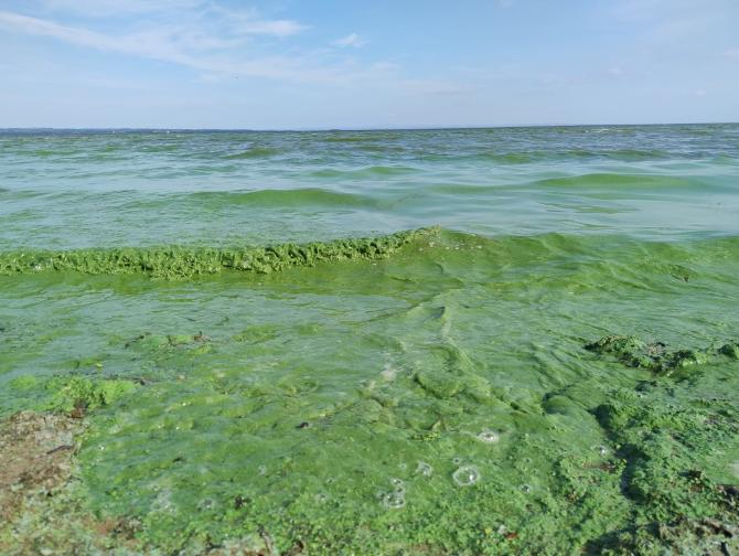 Lough recovery 'will take many years, if not decades'
